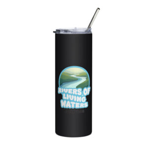 Stainless steel tumbler