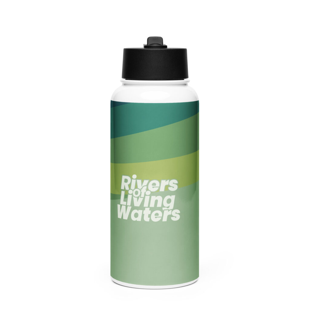 Stainless steel water bottle with a straw lid